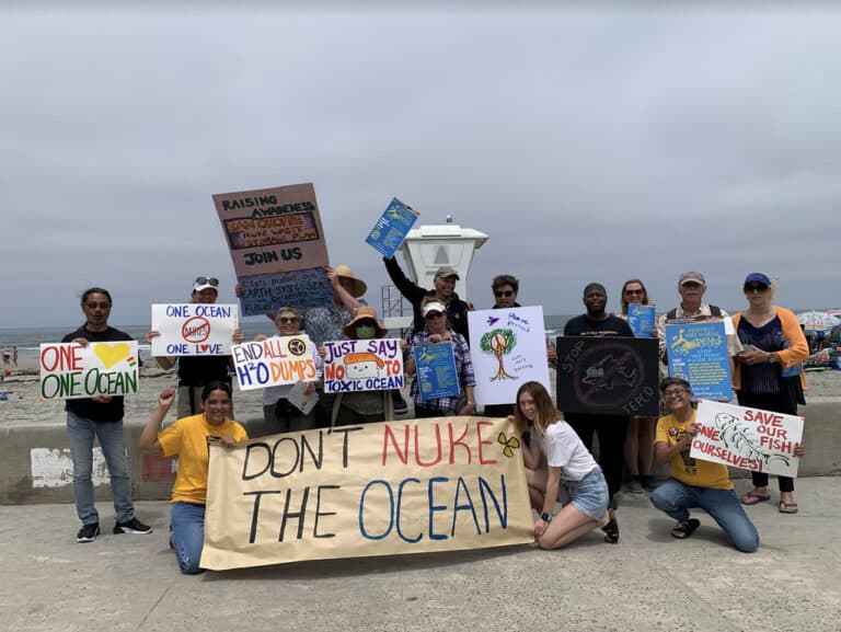 NH #335: “Chernobyl Disaster in a Can” – 73 Vulnerable-To-Cracking Radioactive Waste Canisters Set for CA Ocean-Front Burial at San Onofre:  Donna Gilmore