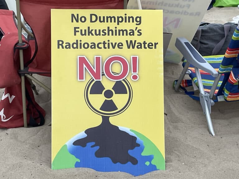 NH #639: Activist Insiders on Diablo Canyon Embrittlement & Palisades Nuclear Restart – Harvey Wasserman, Linda Seeley, Kevin Kamps