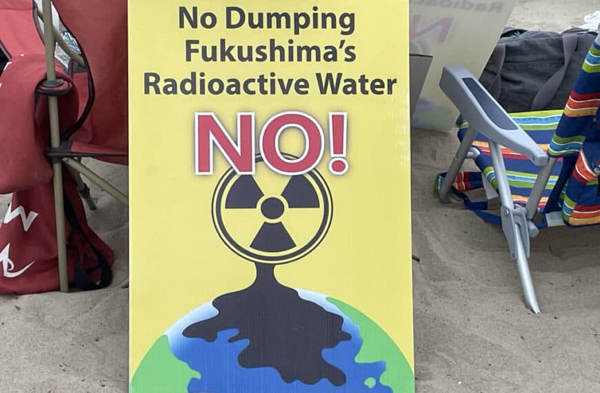 NH #639: Activist Insiders on Diablo Canyon Embrittlement & Palisades Nuclear Restart – Harvey Wasserman, Linda Seeley, Kevin Kamps